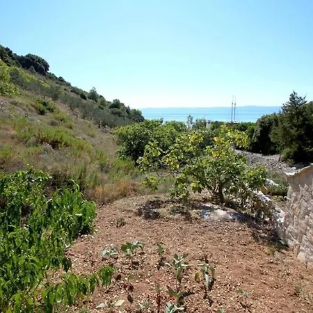 House Island Paradise *