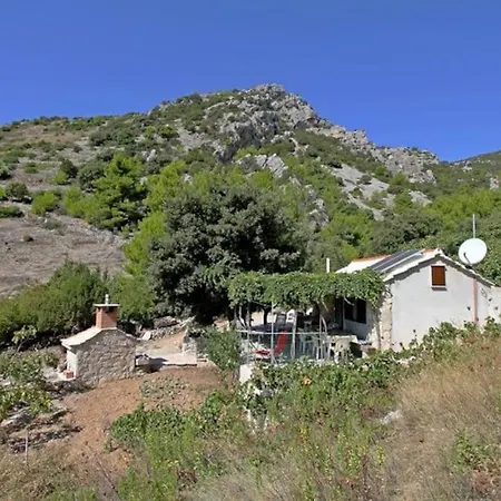 House Island Paradise Vakantiehuis